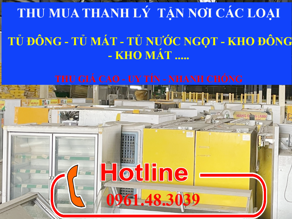 Thu mua thanh lý Tận tơi các loại tủ đông tủ mát